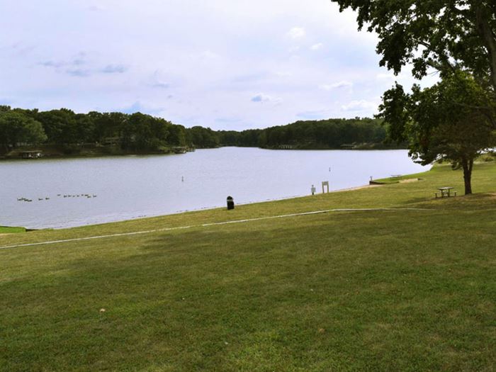 Lake Sara Forever Preserving and enhancing Lake Sara for generations